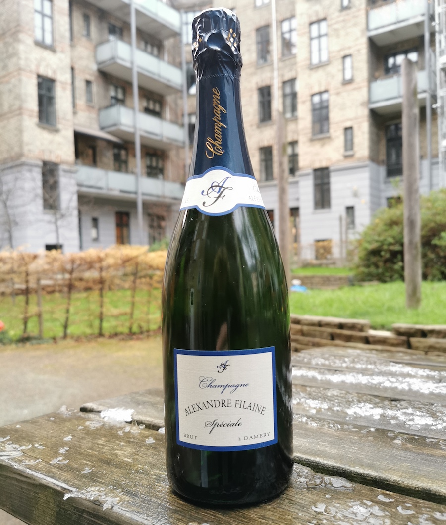 champagne til nytår