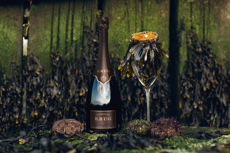krug vintage 2004