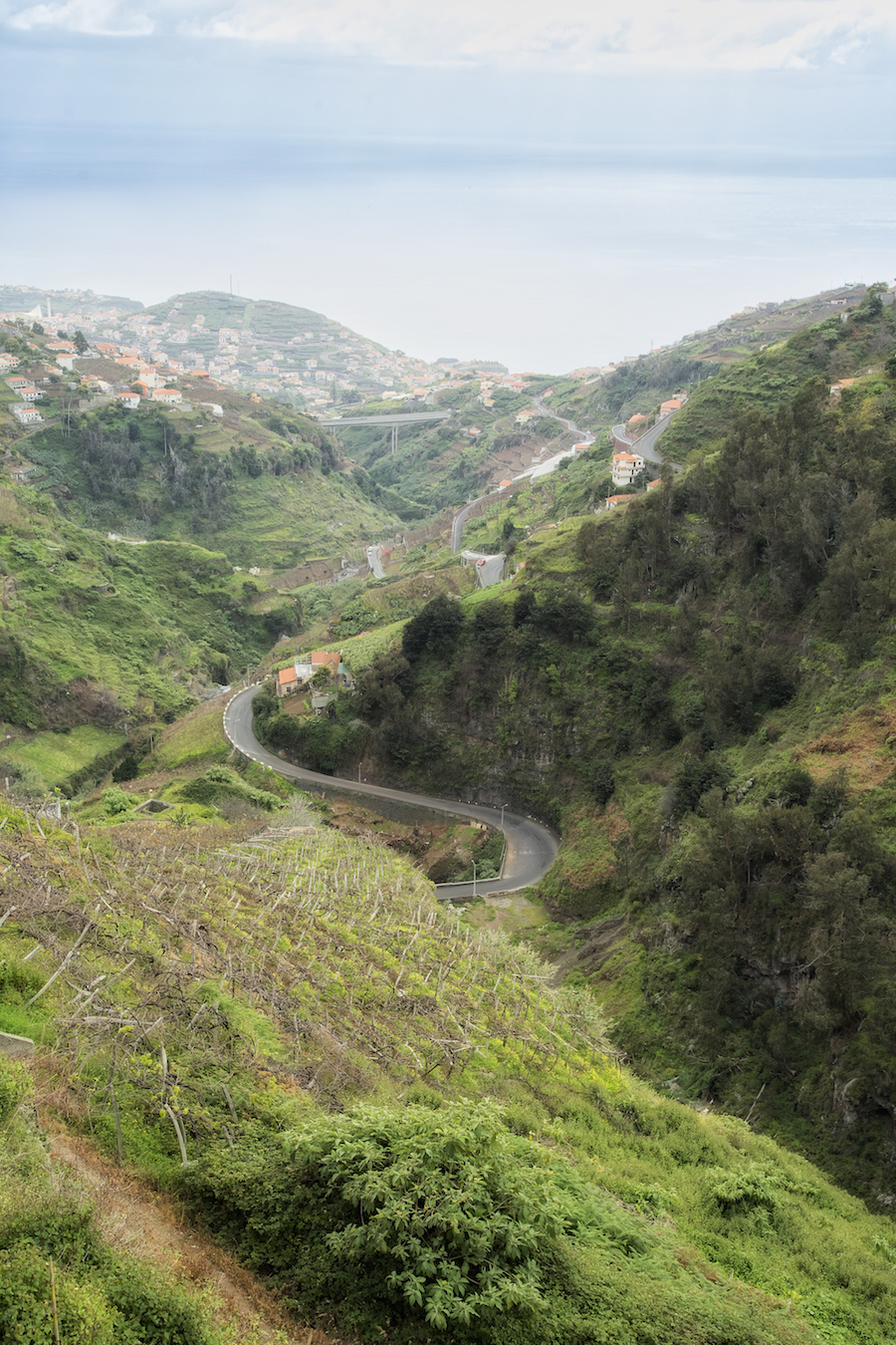 Naturen på Madeira er alsidig og udfordrende. Bemærk vinmarken nederst i billedet. Foto: PR. 
