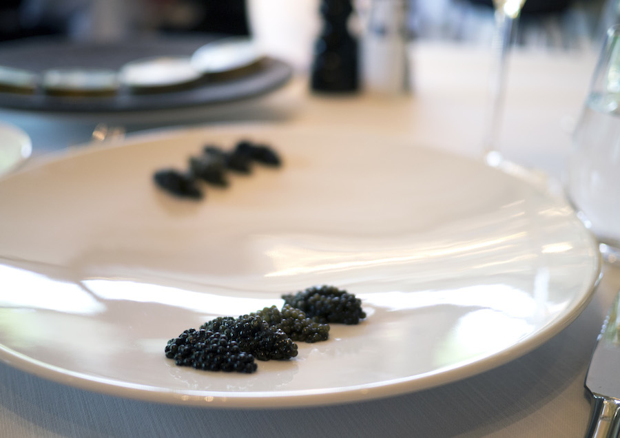 Fire slags kaviar klar til at blive prøvesmagt. 
