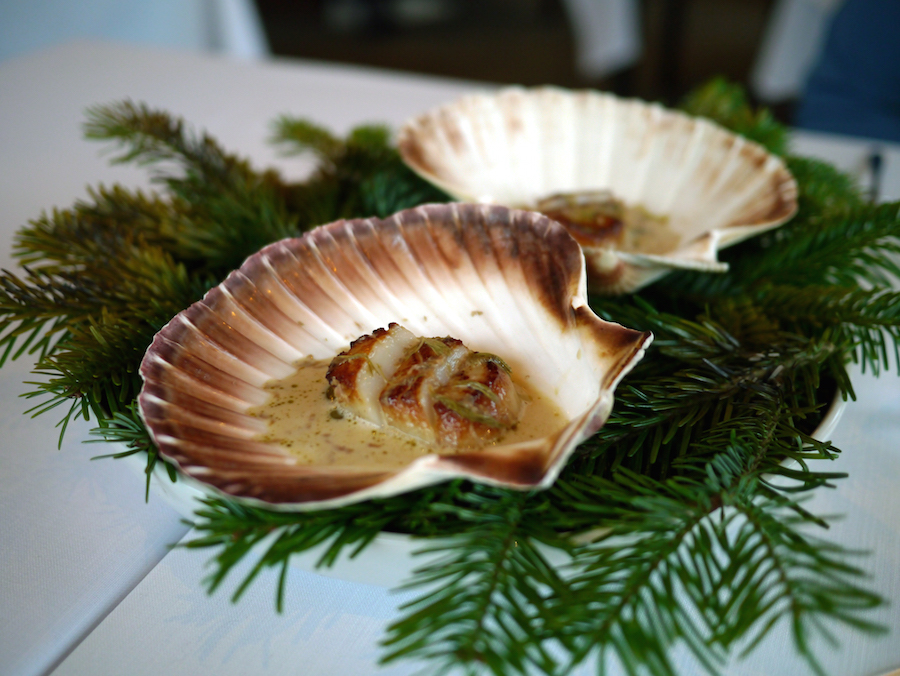 Norske kammuslinger i egen skal med yuzu, tørret oksehjerte og gran.