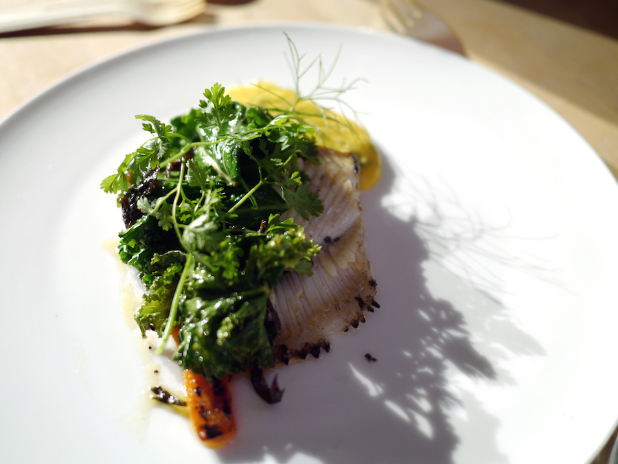 Pighvar, hollandaise og kål fra Rune Lund Sørensen, Hærværk.