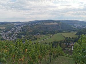 Maximin Grünhaus – mægtige vine fra Ruwer i Mosel-regionen