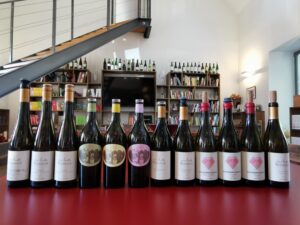 På besøg hos Weingut Wieninger i vinmarkerne omkring Wien